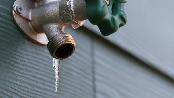 Best Plumbing Inspection Services  in Parker City, IN